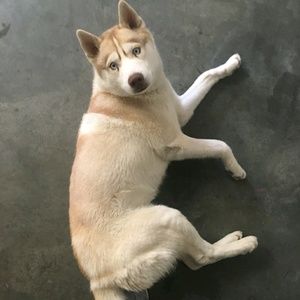 Meet your Posher, Christian